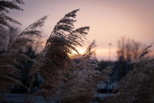 La Louvière, ©L'art photographique by Florence