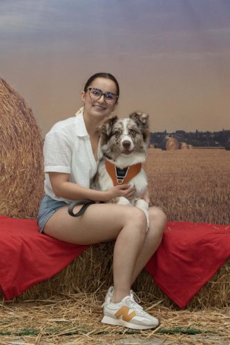 Photo canine